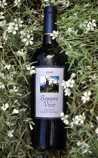 Romeo Vineyards 2008 Cabernet Sauvignon 750ml Wine Bottle