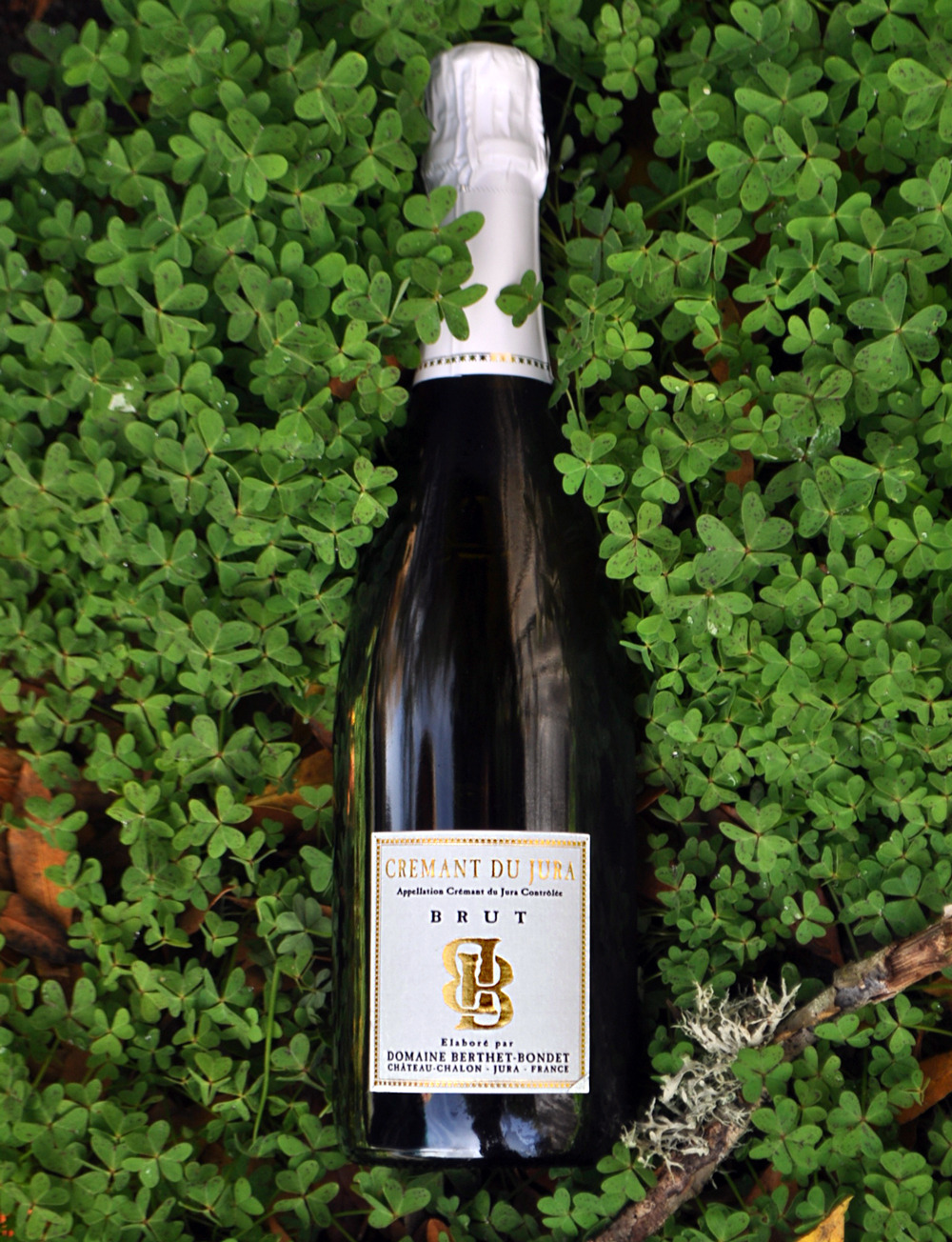 Domaine Berthet–Bondet NV Cremant du Jura 750ml Wine Bottle