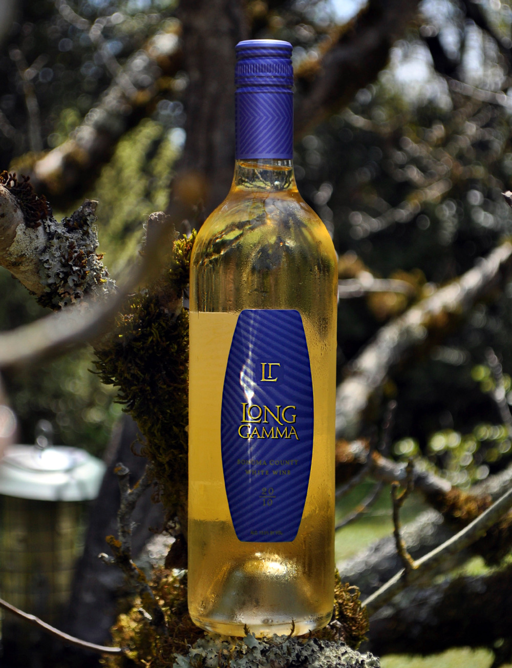 Long Gamma Wines 2010 White Blend 750ml Wine Bottle