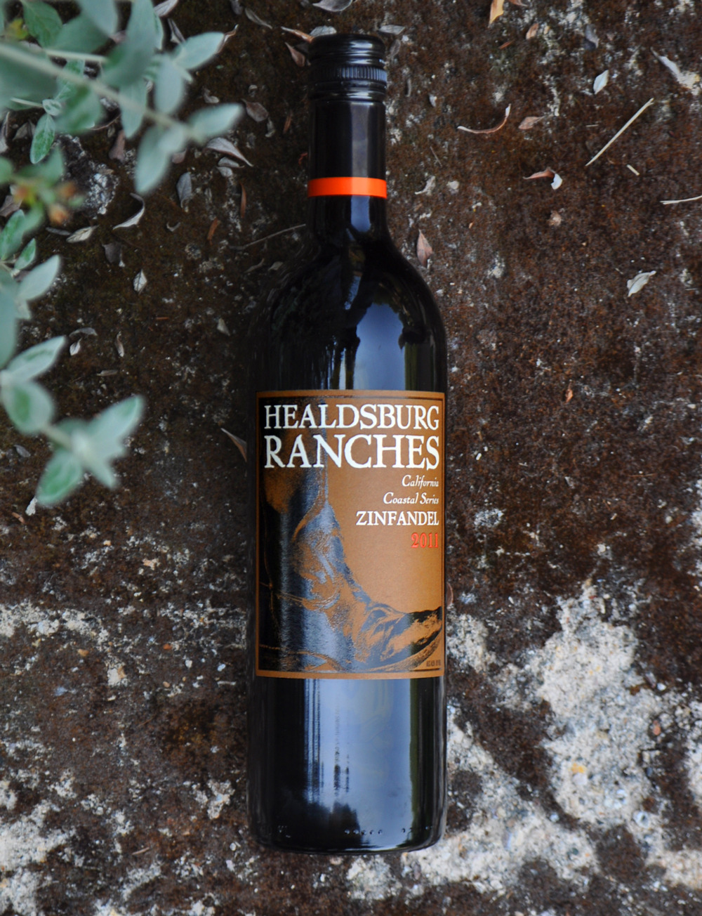 Healdsburg Ranches 2011 California Coastal Series Zinfandel 750ml Wine Bottle