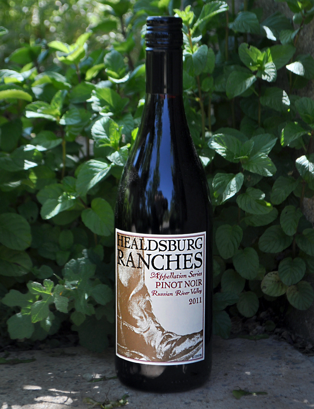 Healdsburg Ranches 2011 Appellation Series Pinot Noir Russian River Valley 750ml Wine Bottle