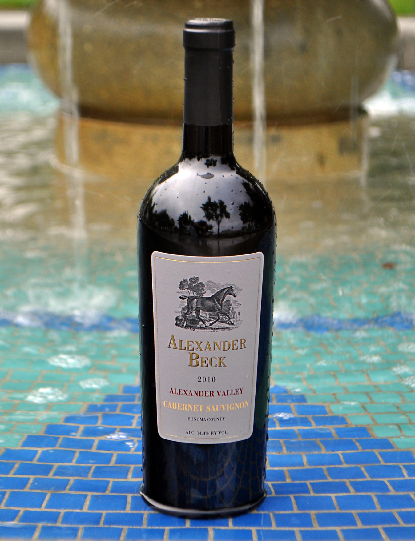 Alexander Beck Cellars 2010 Cabernet Sauvignon 750ml Wine Bottle