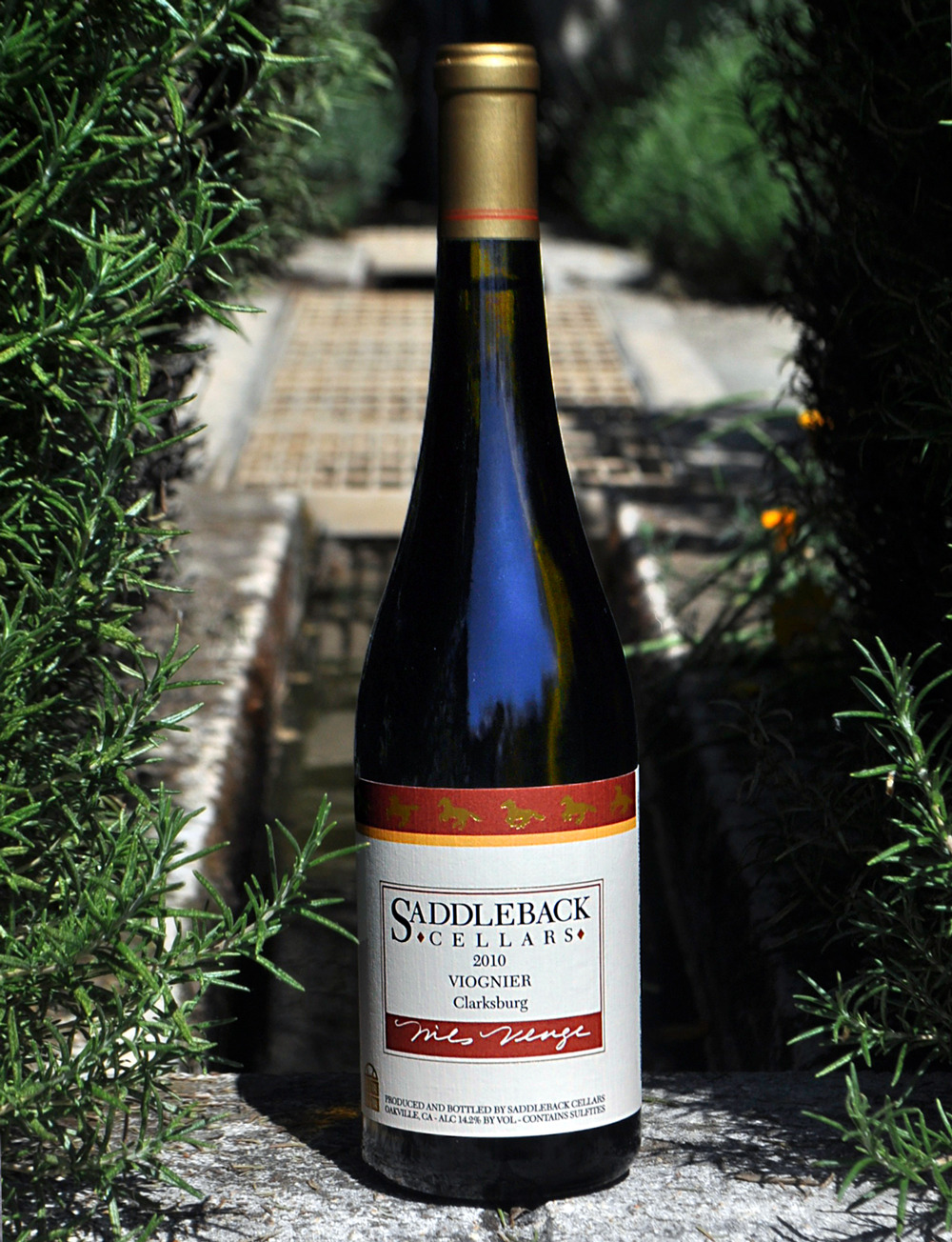 Saddleback Cellars 2010 Viognier 750ml Wine Bottle