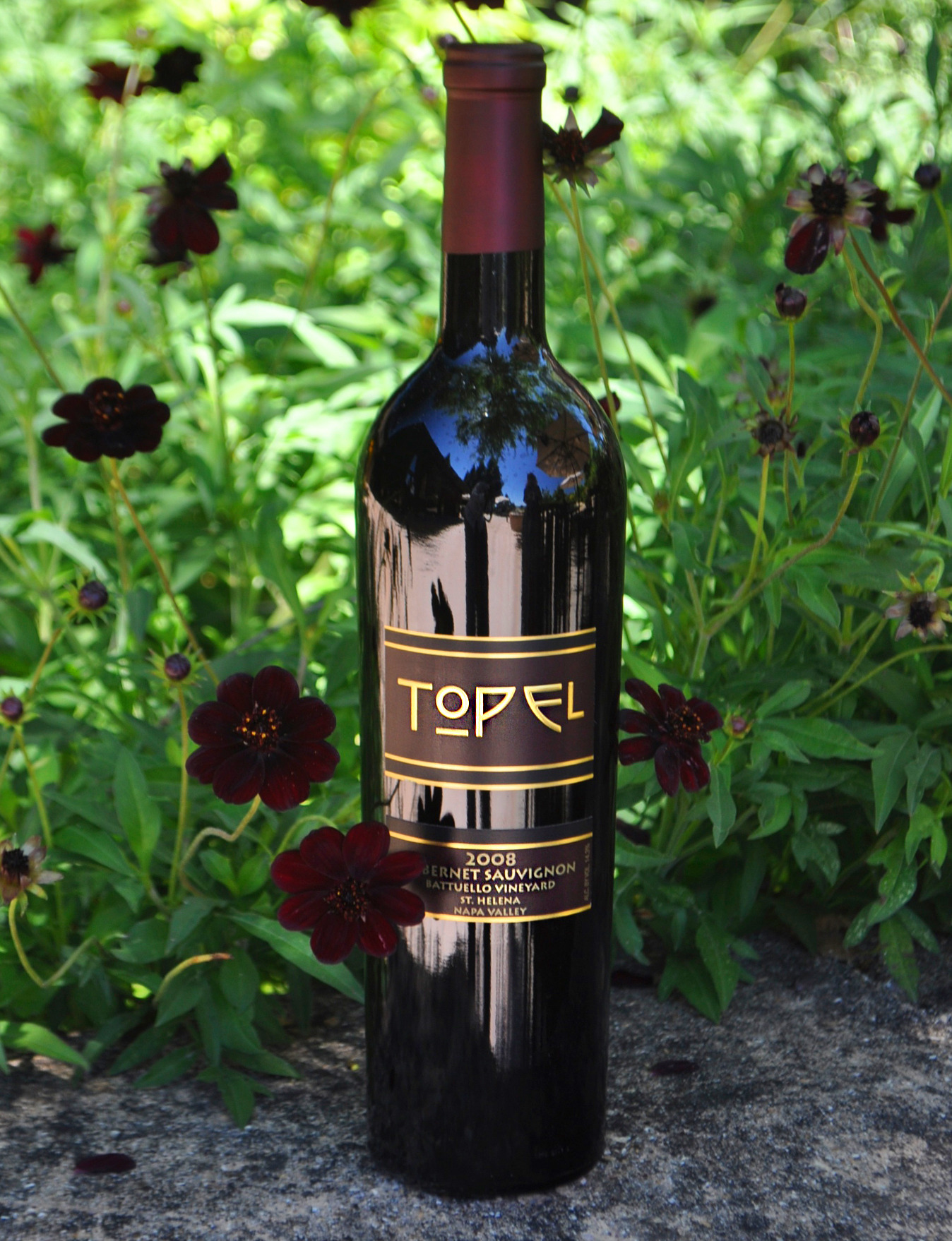 Topel Winery 2008 Napa Valley Cabernet Sauvignon 750ml Wine Bottle