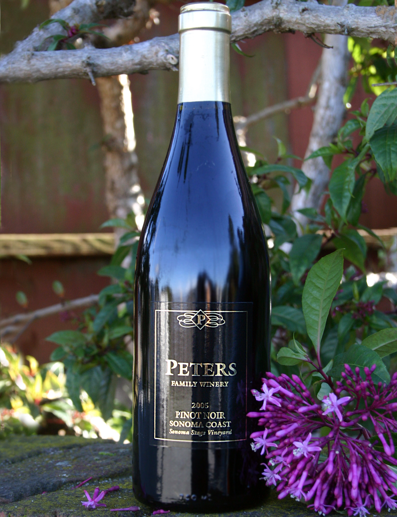 Peters Family Winery 2005 Pinot Noir, Sonoma Coast 750ml Wine Bottle