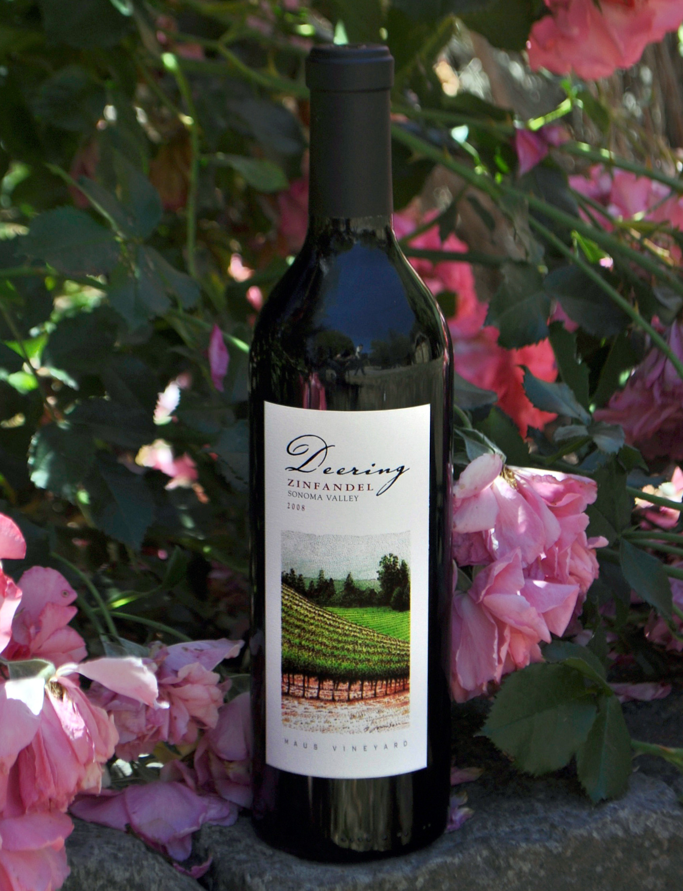 Deering Wine 2008 Maus Vineyard Zinfandel 750ml Wine Bottle