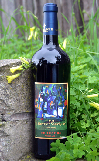 Schrader Cellars 2005 Cabernet Sauvignon 750ml Wine Bottle