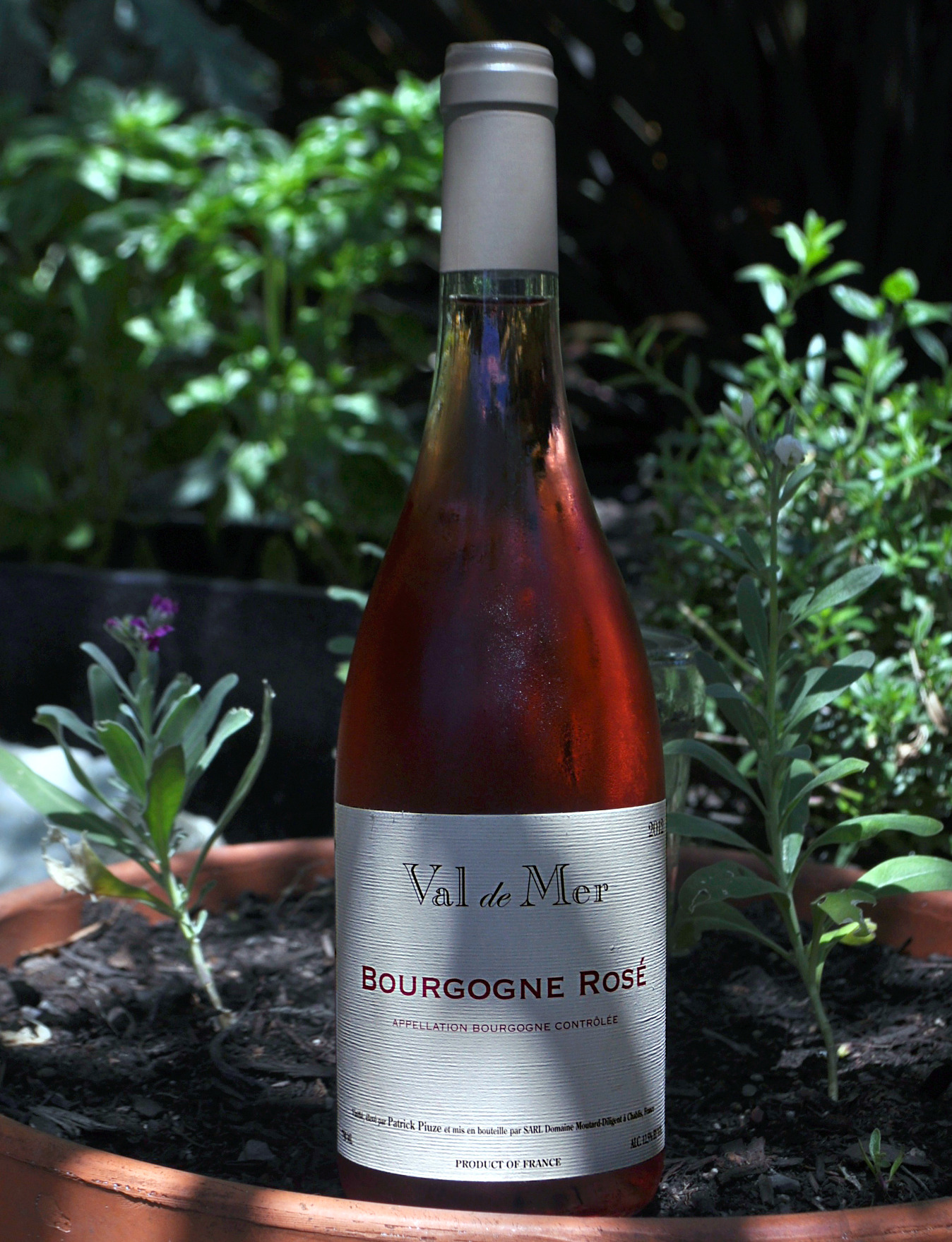 Patrick Piuze 2012 Val de Mer Bourgogne Rosé 750ml Wine Bottle