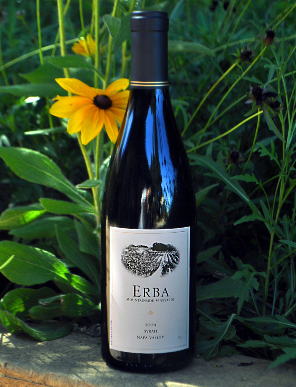 Erba Mountainside Vineyards 2004 Napa Valley Syrah 750ml Wine Bottle