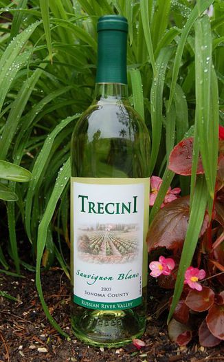 Trecini Cellars 2007 Sauvignon Blanc 750ml Wine Bottle