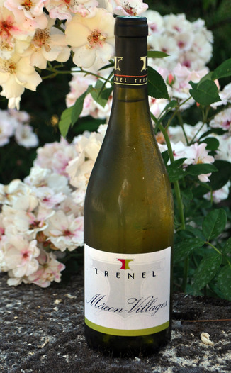Trénel Fils 2011 Macon Villages Chardonnay 750ml Wine Bottle