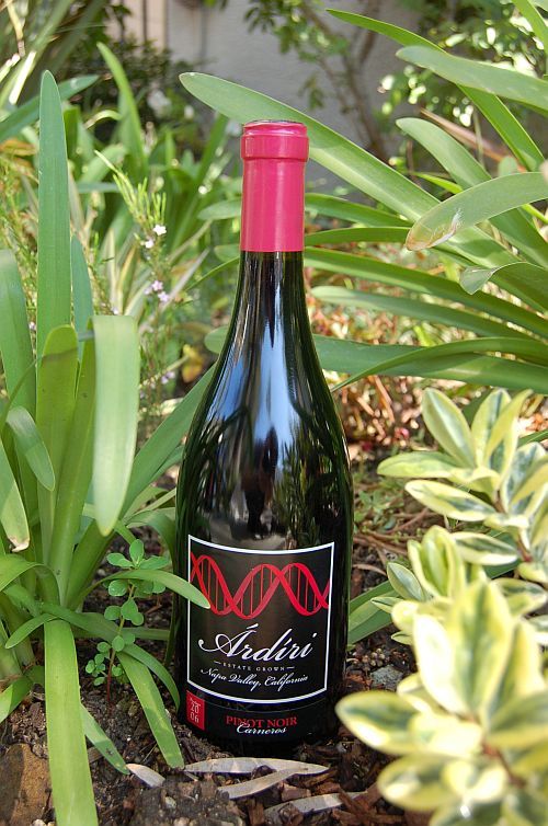 Ardiri Wine 2006 Pinot Noir Carneros 750ml Wine Bottle