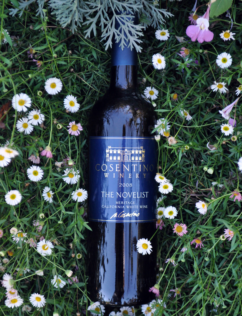 Cosentino Winery 2008 The Novelist White Blend 750ml Wine Bottle