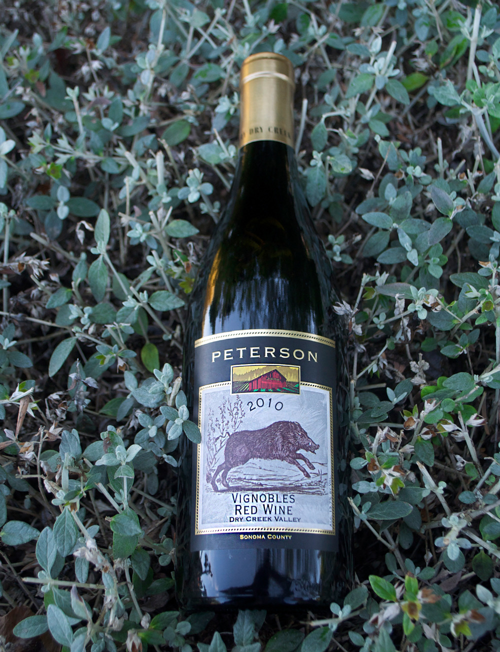 Peterson 2010 Vignobles blend 750ml Wine Bottle