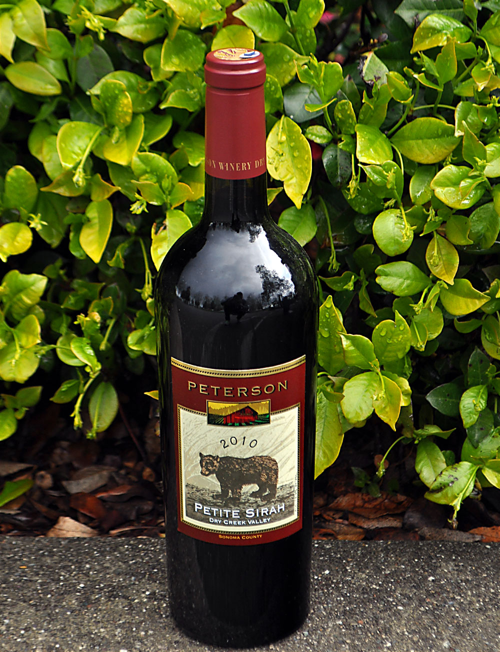 Peterson 2010 Dry Creek Valley Petite Sirah 750ml Wine Bottle