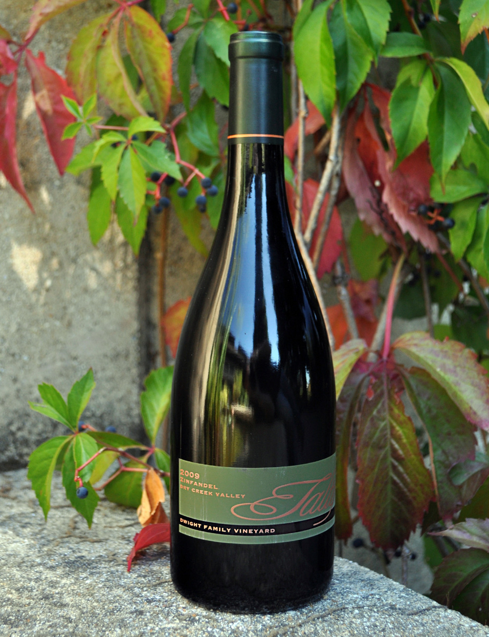 Talty Vineyards and Winery 2009 Zinfandel 750ml Wine Bottle