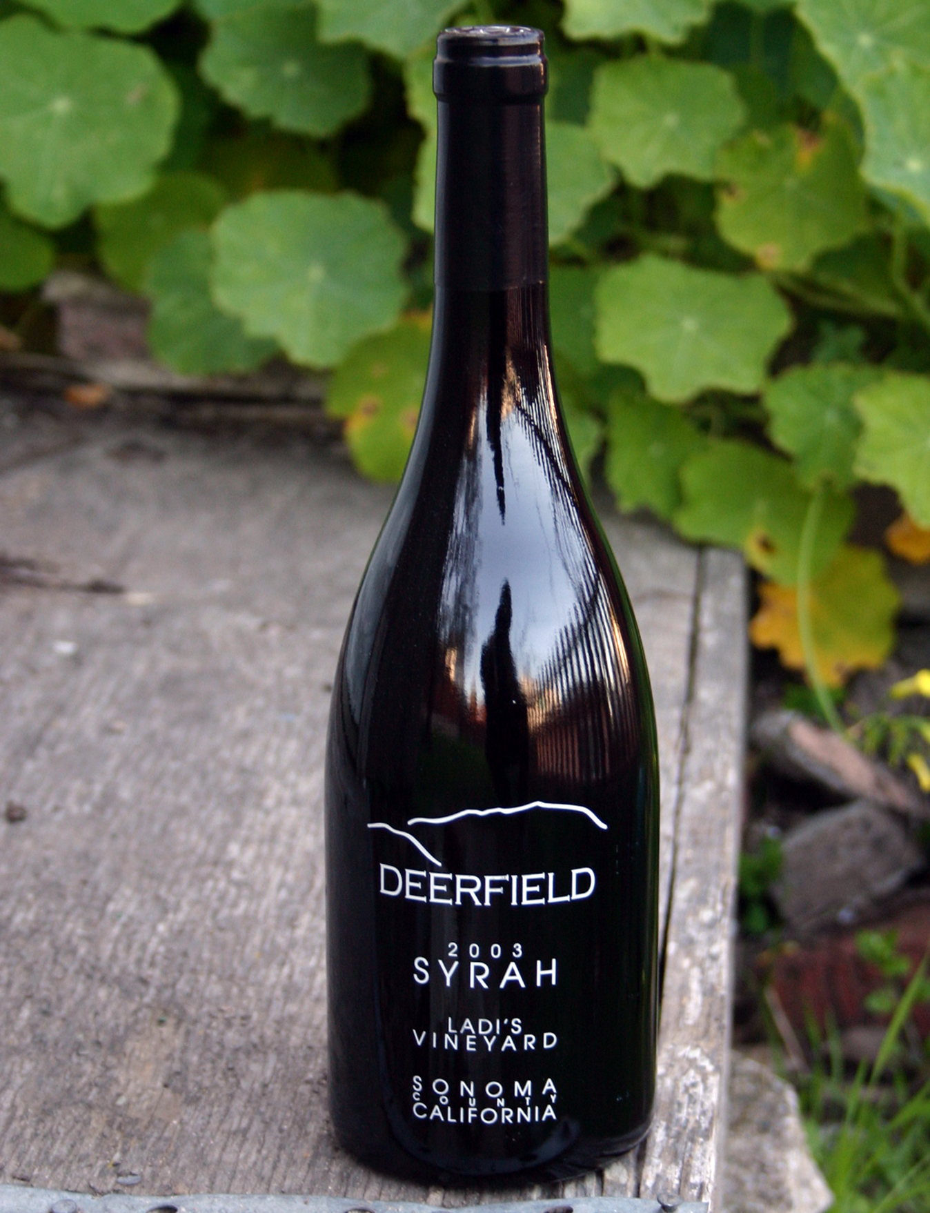 Deerfield Ranch 2003 Ladi's Vineyard Syrah 750ml Wine Bottle