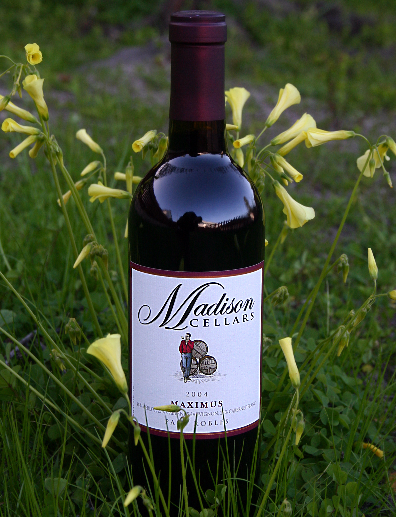 Madison Cellars 2004 Maximus 750ml Wine Bottle