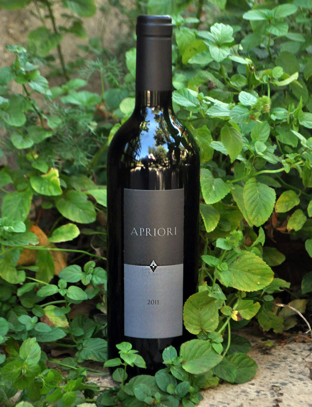 Vice Versa Wines 2011 Apriori Red Wine 750ml Wine Bottle