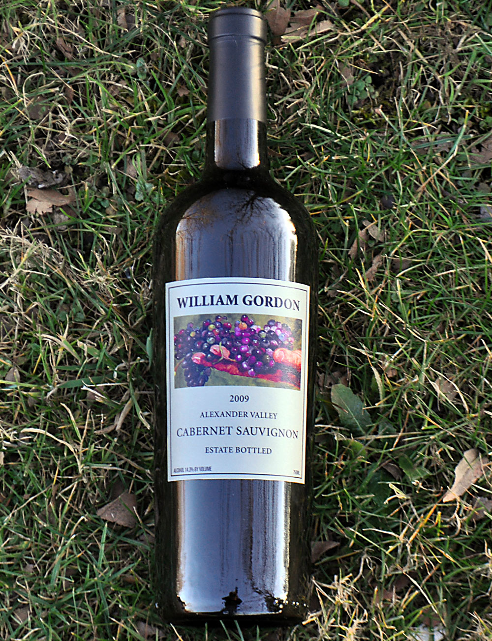 William Gordon Winery 2009 Alexander Valley Estate Cabernet Sauvignon 750ml Wine Bottle