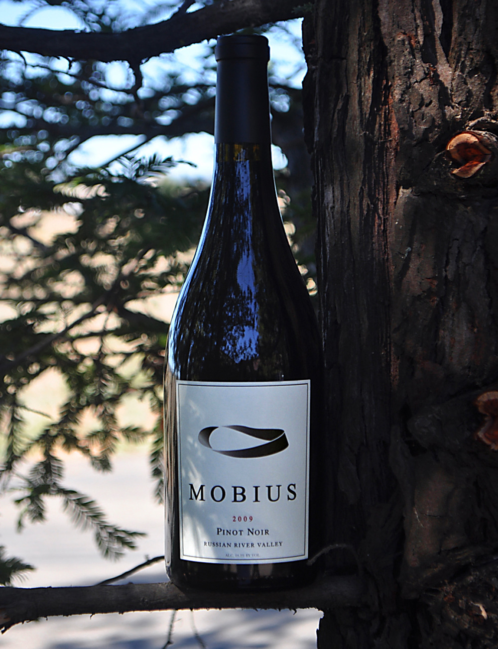 Mobius Wines 2009 Mobius Pinot Noir 750ml Wine Bottle