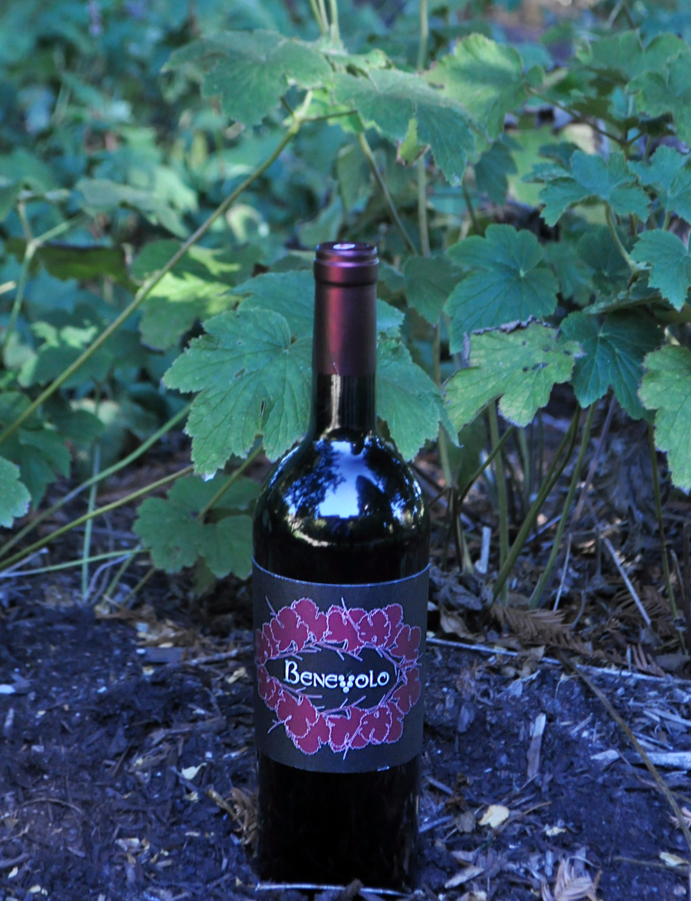 Benevolo Wines 2010 Knights Valley Merlot 750ml Wine Bottle