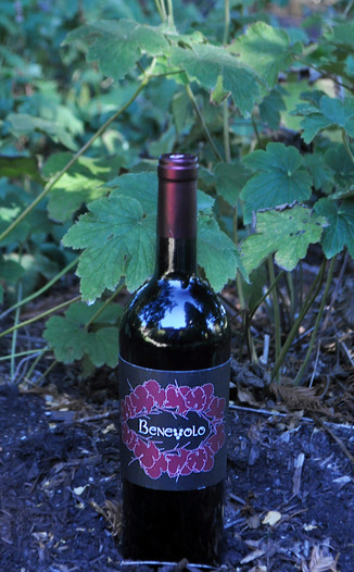 Benevolo Wines 2010 Knights Valley Merlot 750ml Wine Bottle