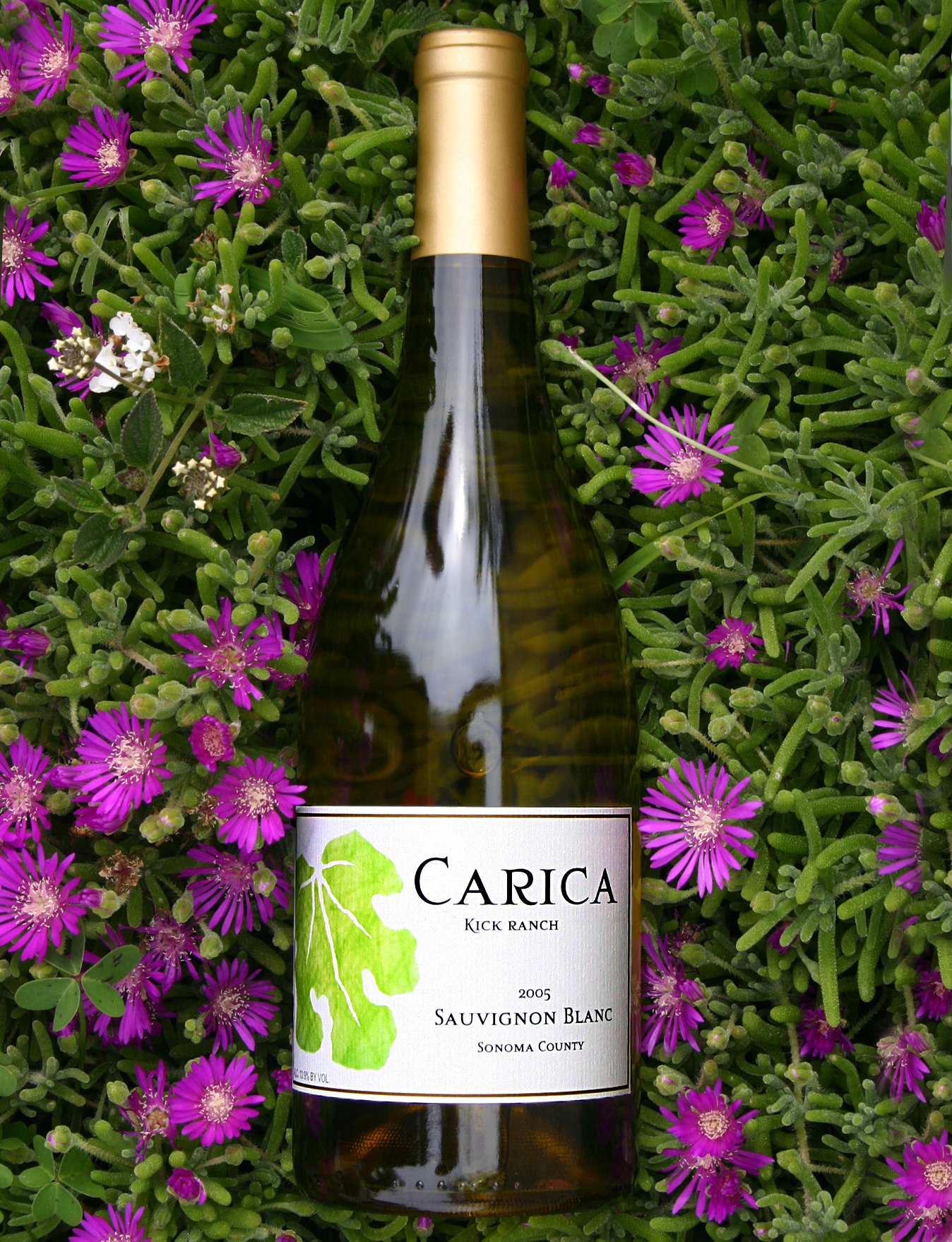Carica 2005 Kick Ranch Sauvignon Blanc 750ml Wine Bottle