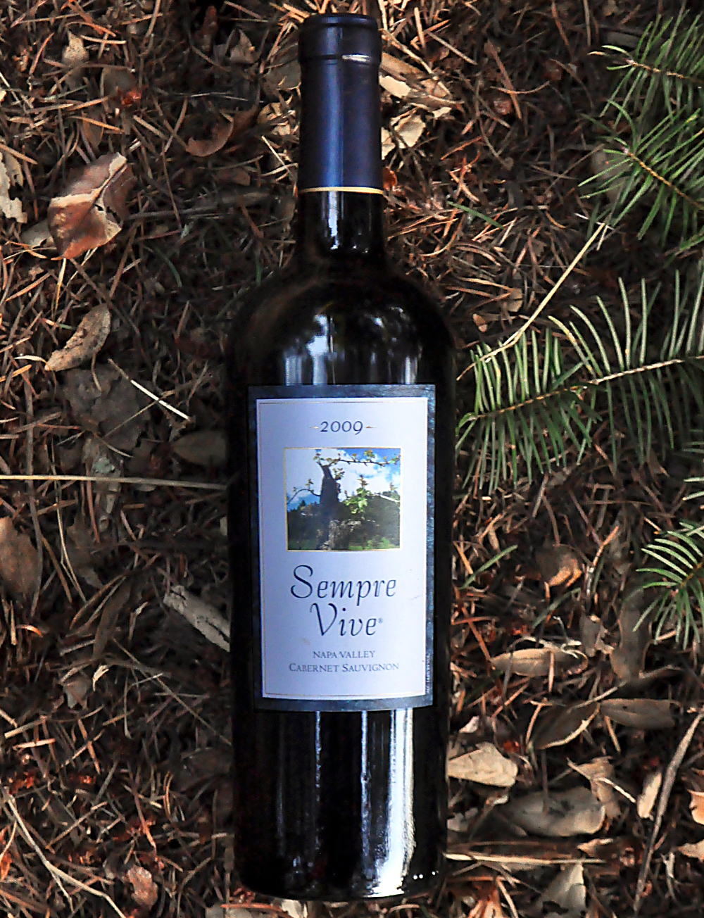 Romeo Vineyards 2009 Sempre Vive Napa Valley Cabernet Sauvignon 750ml Wine Bottle