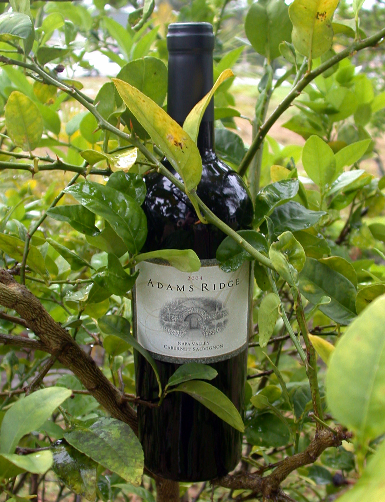 Adams Ridge Winery 2004 Cabernet Sauvignon 750ml Wine Bottle