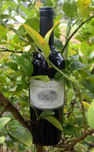 Adams Ridge Winery 2004 Cabernet Sauvignon 750ml Wine Bottle