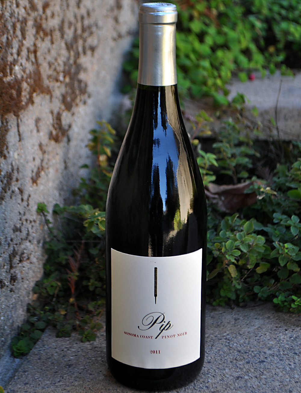 Sand Hill Winery 2011 Sonoma Coast Pinot Noir 750ml Wine Bottle