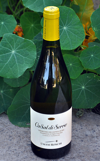 Umani Ronchi 2011 Ca Sal di Serra 750ml Wine Bottle