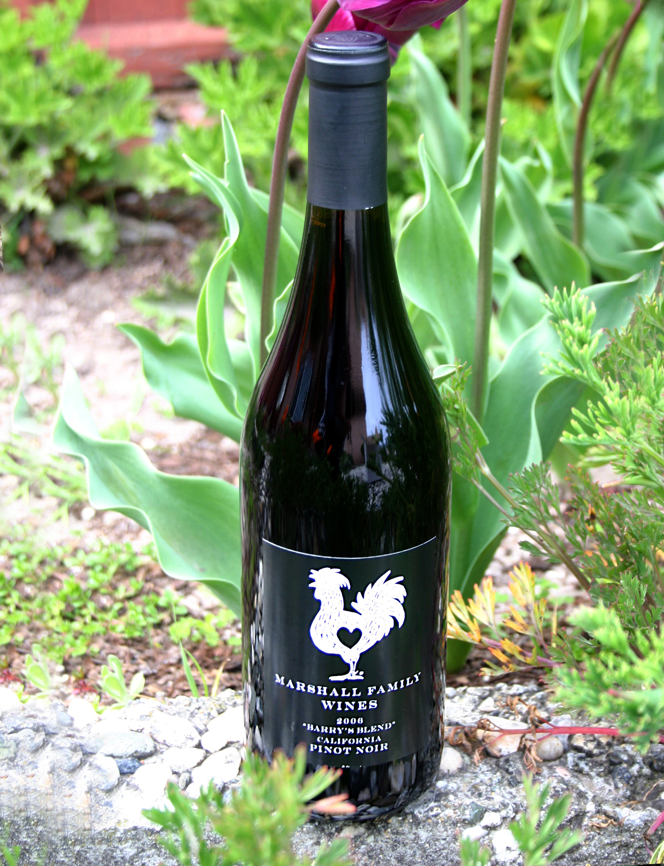 Marshall Family Wines 2006 Barry's Blend Pinot Noir 750ml Wine Bottle