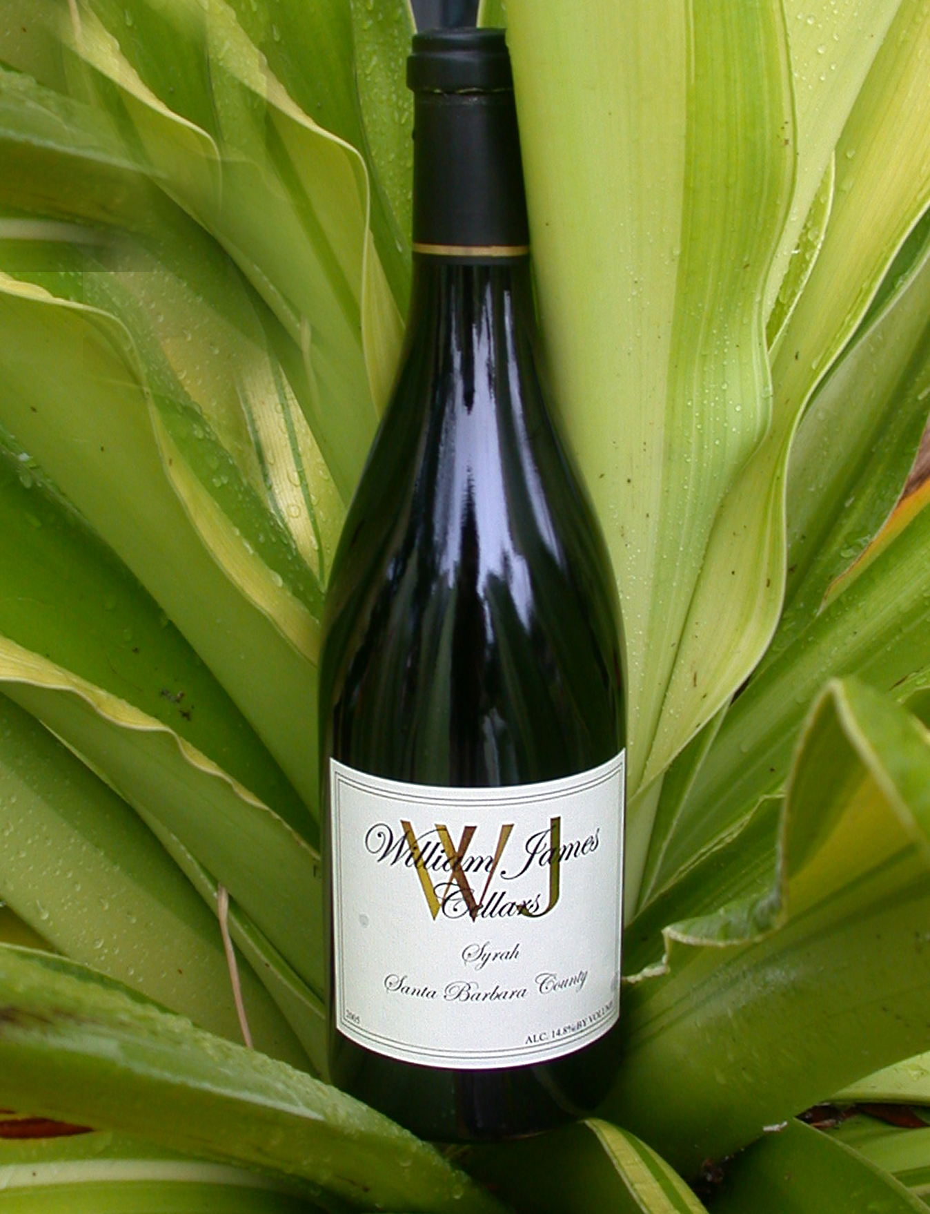 William James Cellars 2005 Syrah 750ml Wine Bottle