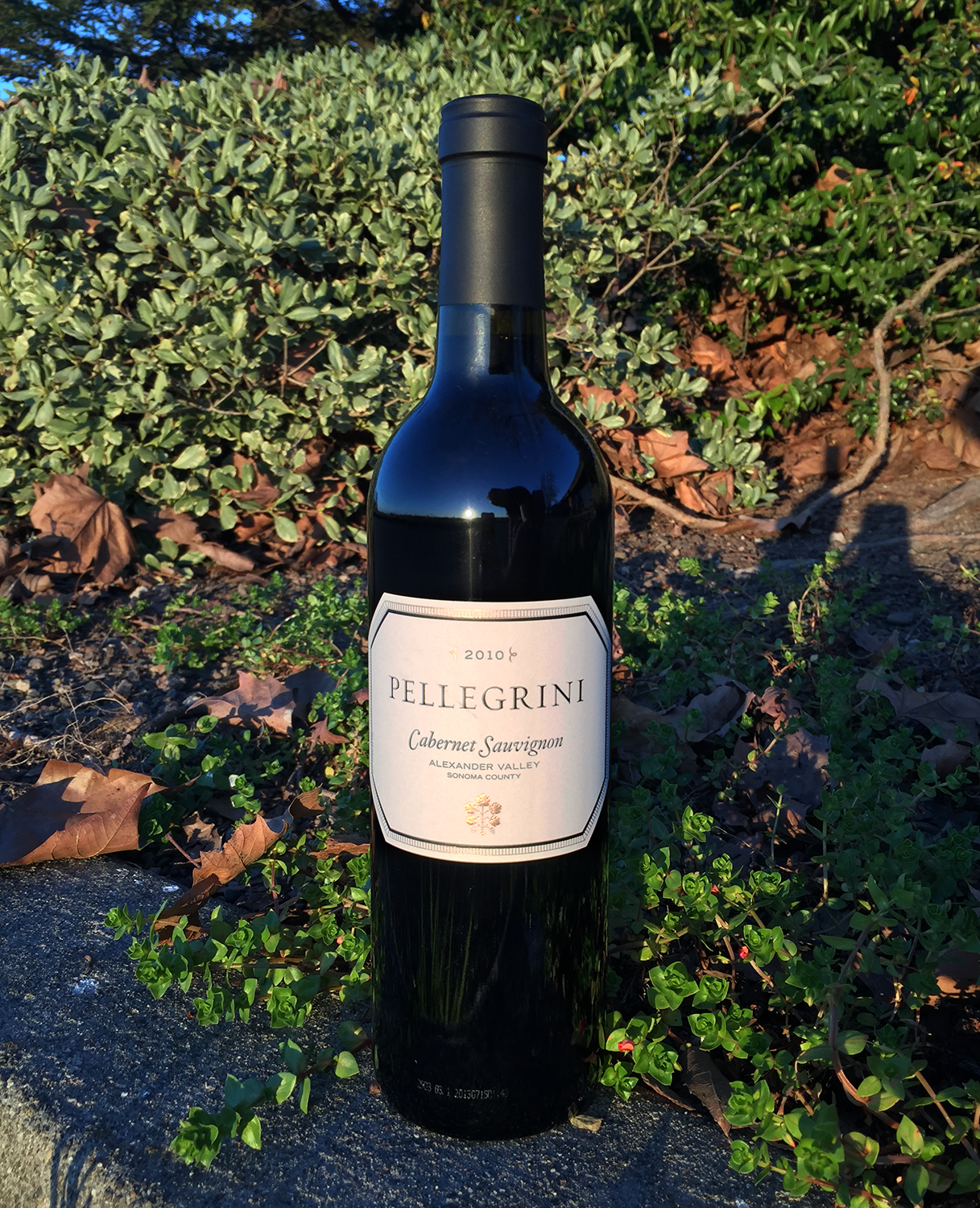 Pellegrini Family Wines 2010 Cabernet Sauvignon 750ml Wine Bottle