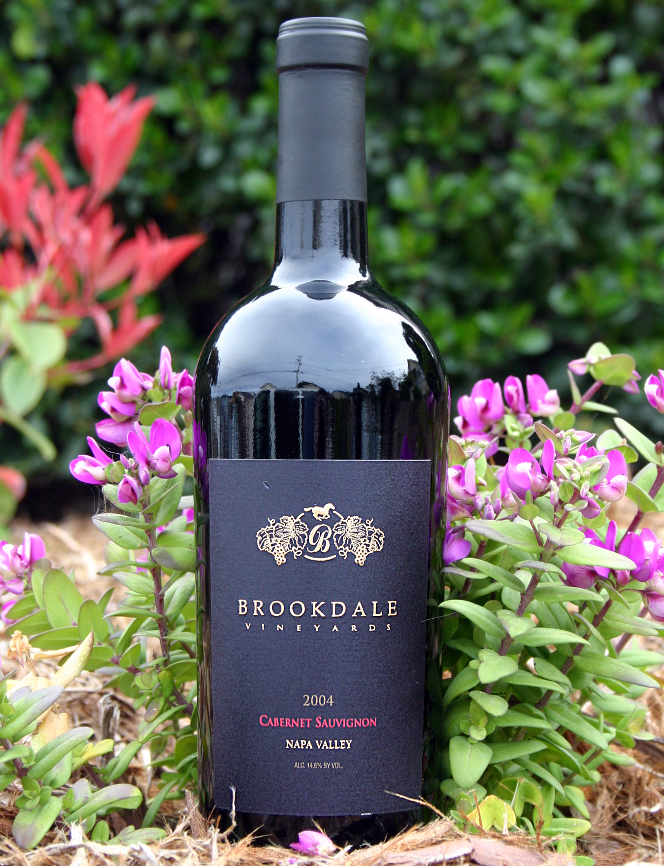Brookdale Vineyards 2004 Cabernet Sauvignon 750ml Wine Bottle
