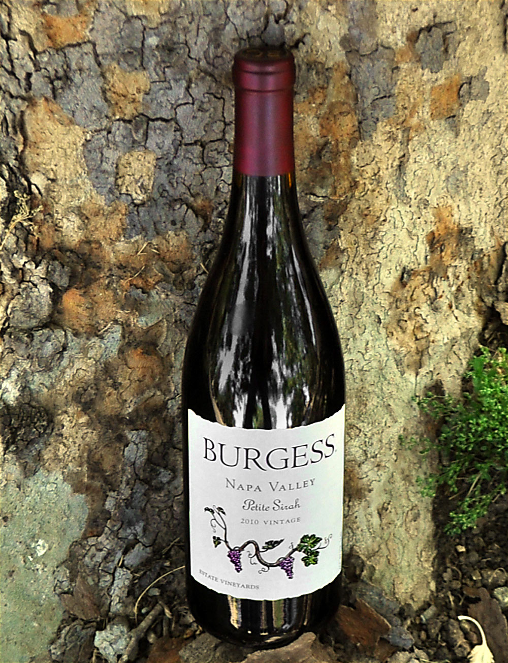 Burgess Cellars 2010 Napa Valley Petite Sirah 750ml Wine Bottle