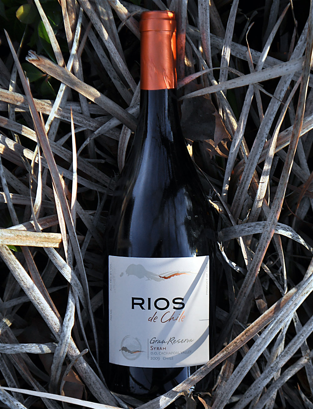 Rios de Chile 2009 Gran Reserva Syrah 750ml Wine Bottle