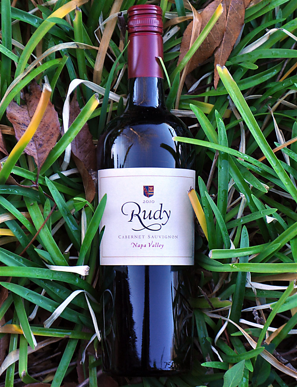 von Strasser Winery 2010 Rudy Napa Valley Cabernet Sauvignon 750ml Wine Bottle