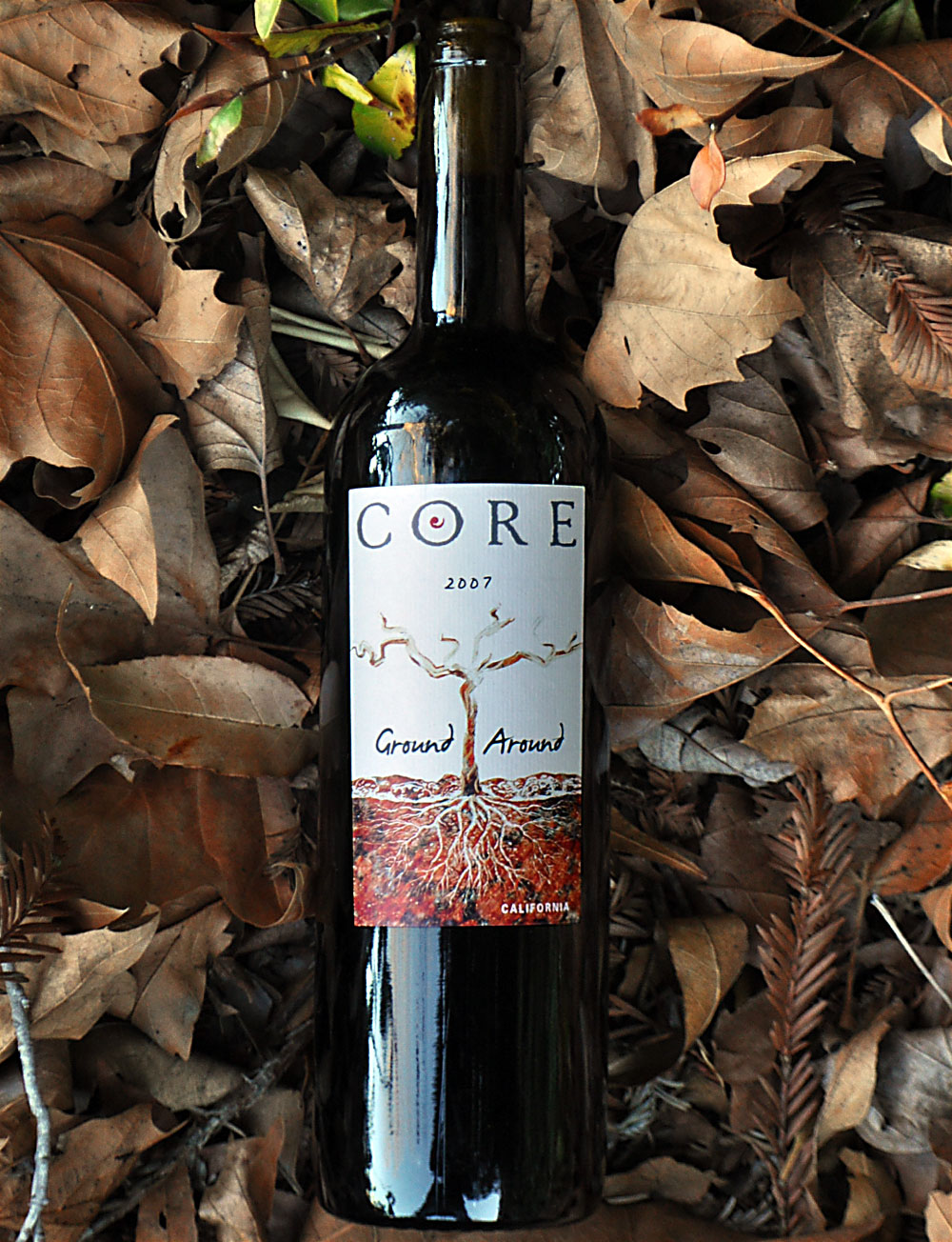 CORE Family Winery 2007 Ground Around California Red Wine 750ml Wine Bottle