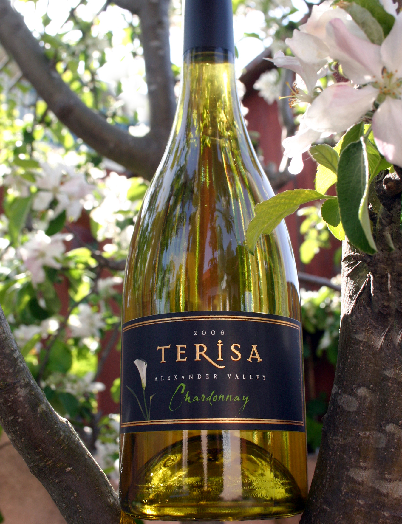 Ron Lilly Wines - Terisa 2006 Chardonnay 750ml Wine Bottle