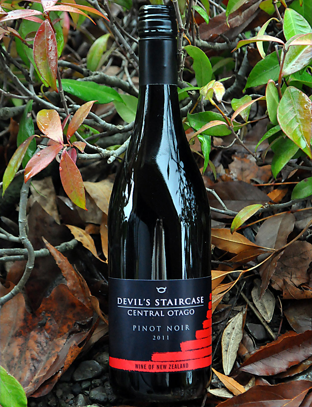 Rockburn 2011 Devil's Staircase Central Otago Pinot Noir 750ml Wine Bottle