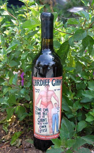 Sort This Out Cellars 2005 Cardiff Giant - Super Tuscan 750ml Wine Bottle