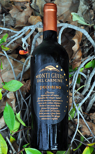Monti Guidi Del Carmine 2011 Terre di Cheiti Pecorino 750ml Wine Bottle