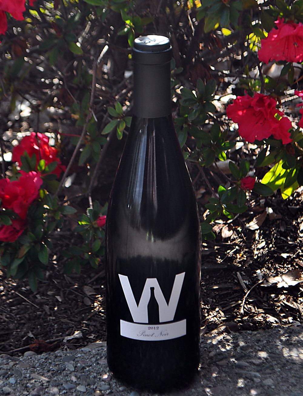 The Winery SF 2012 North Coast Pinot Noir 750ml Wine Bottle