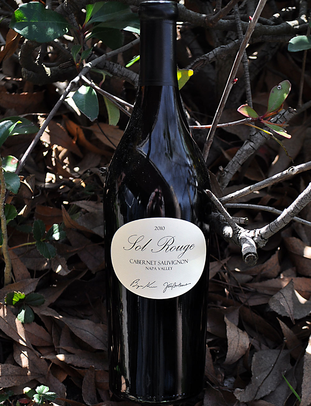 Sol Rouge 2010 Napa Valley Cabernet Sauvignon 750ml Wine Bottle