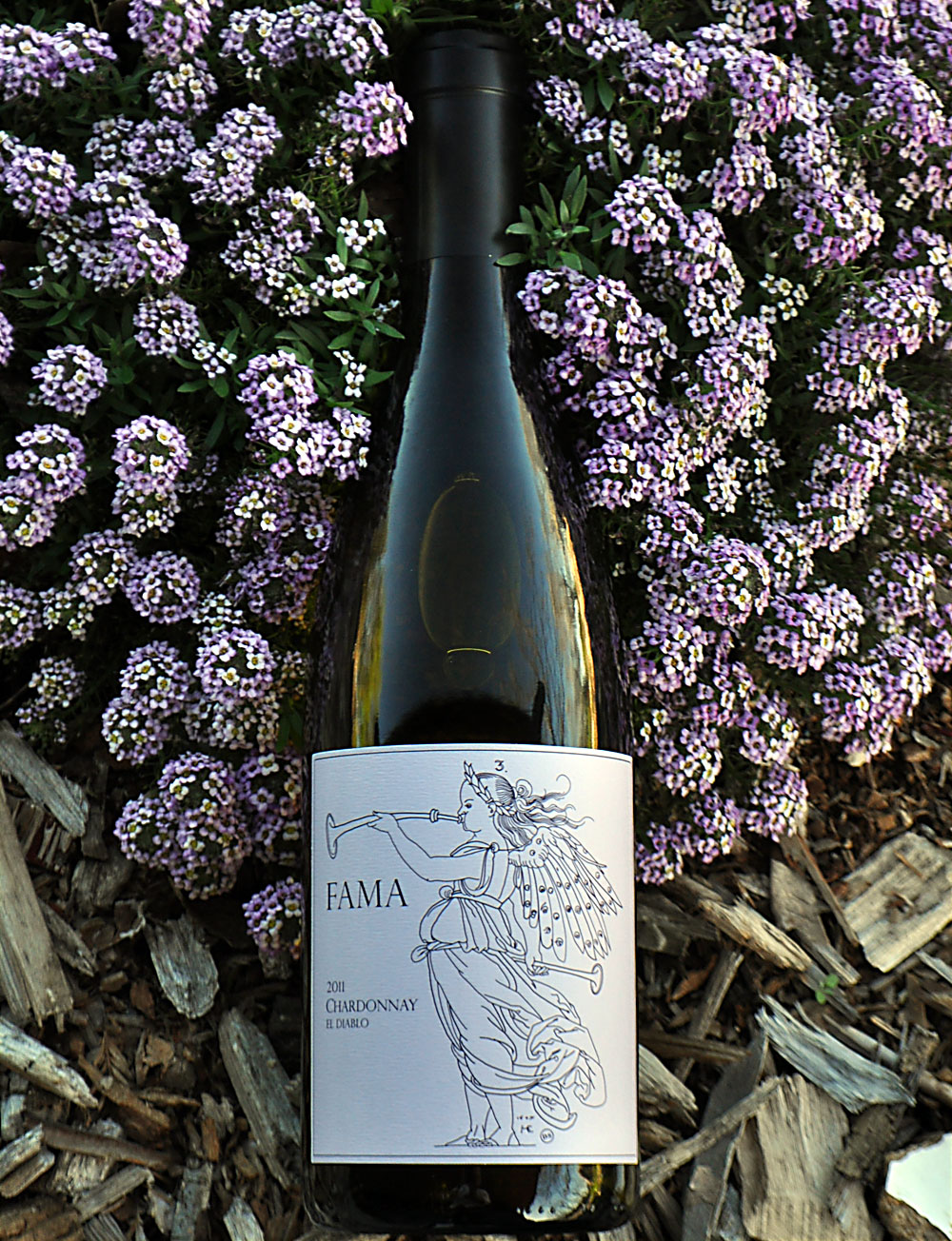 Fama Wines 2011 El Diablo Russian River Valley Chardonnay 750ml Wine Bottle