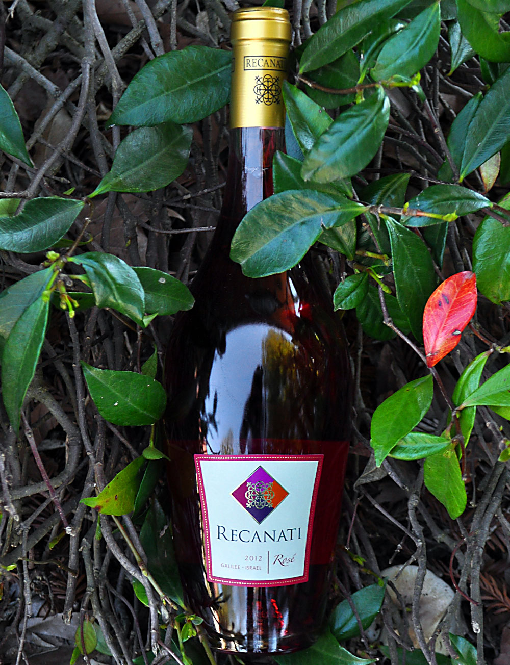 Recanati Winery 2012 Galilee Rose 750ml Wine Bottle