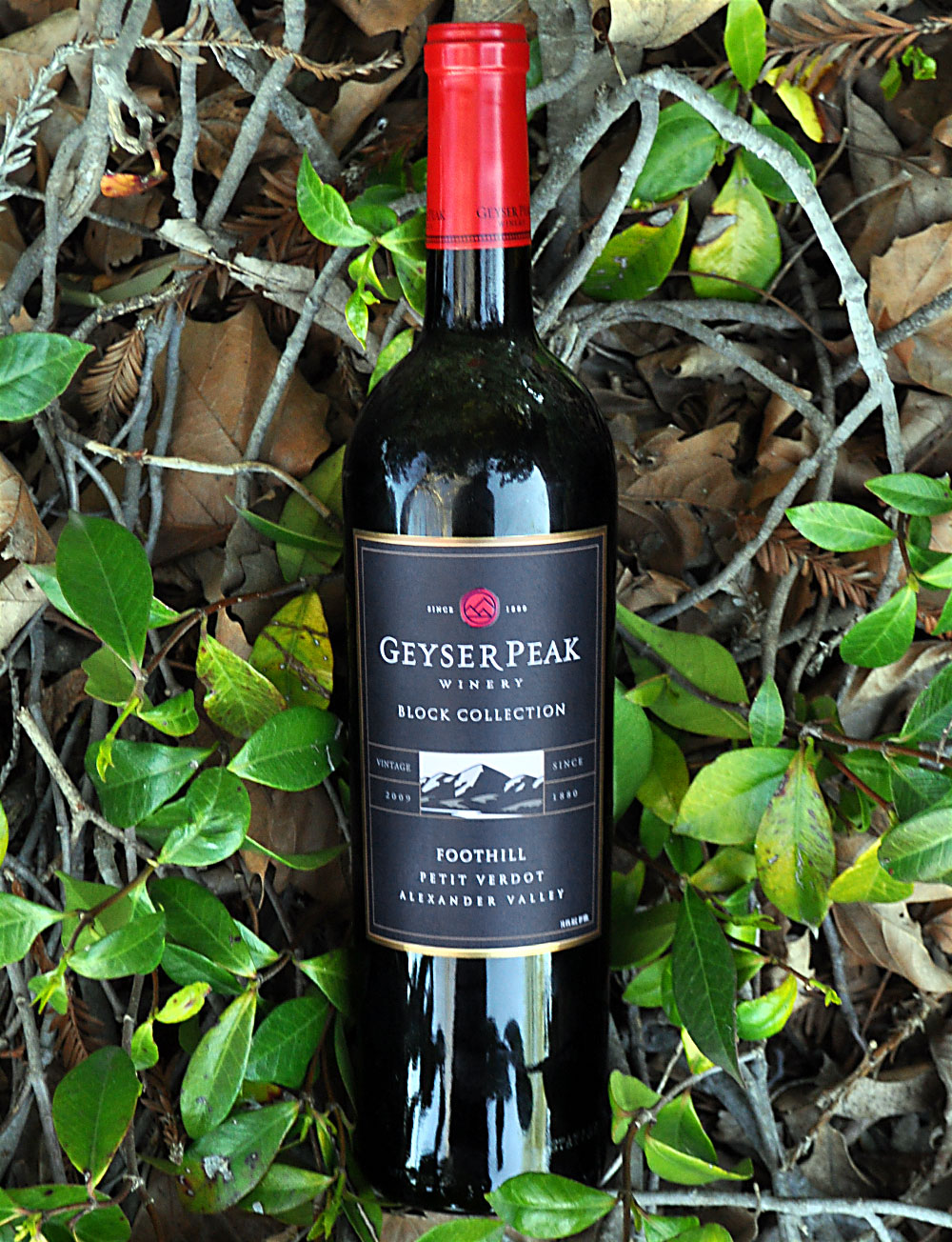 Geyser Peak Winery 2009 Foothill Petit Verdot 750ml Wine Bottle